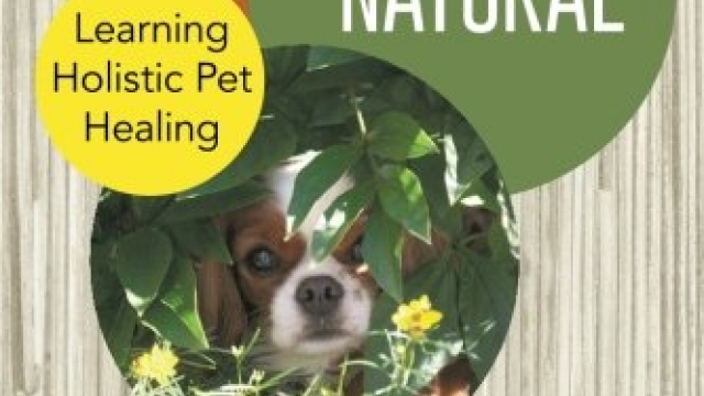 From Needles to Natural: Learning Holistic Pet Healing