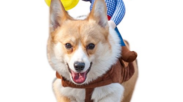 NACOCO Cowboy Rider Dog Costume for Dogs Outfit Knight Style with Doll and Hat for Halloween Day Pet Costume(M)