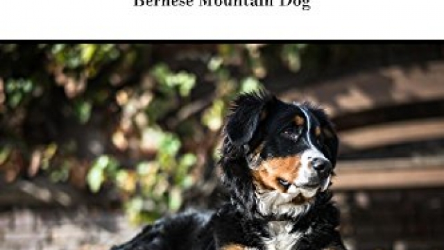 The Bernese Mountain Dog: A Complete and Comprehensive Owners Guide to: Buying, Owning, Health, Grooming, Training, Obedience, Understanding and Caring … Caring for a Dog from a Puppy to Old Age)
