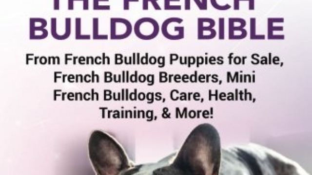 French Bulldog: The French Bulldog Bible: From French Bulldog Puppies for Sale, French Bulldog Breeders, French Bulldog Breeders, Mini French Bulldogs, Care, Health, Training, & More!