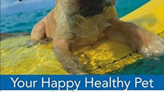 Puppy Care & Training: Your Happy Healthy Pet