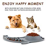 KKGOPET Pet Bowl Slow Feeder Stainless Steel Collapsible Dog Bowls with No-Spill Skid Resistant Silicone Mat for Small Medium Dogs (Grey)