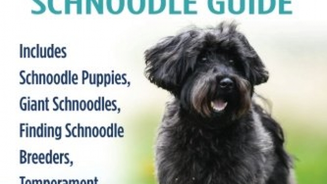 Schnoodle And Schnoodles: Your Perfect Schnoodle Guide Includes Schnoodle Puppies, Giant Schnoodles, Finding Schnoodle Breeders, Temperament, Miniature Schnoodles, Care, & More! Reviews