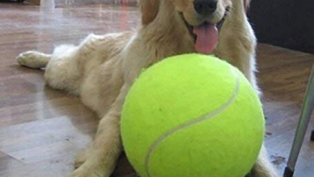 Banfeng Giant 9.5″ Dog Tennis Ball Large Pet Toys Funny Outdoor Sports Dog Ball Gift