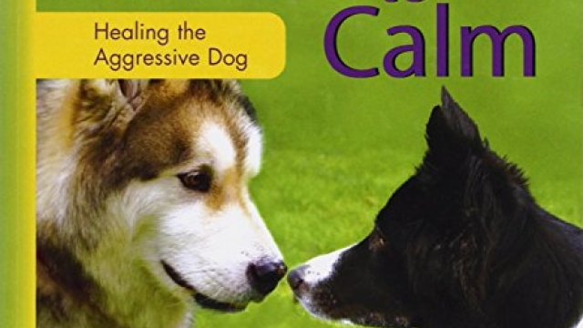 Click to Calm: Healing the Aggressive Dog (Karen Pryor Clicker Book)