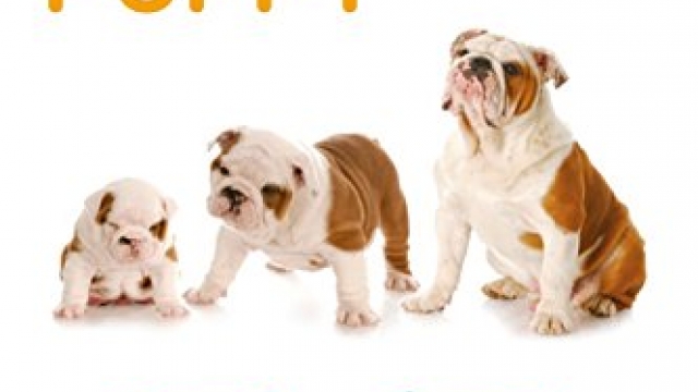 Your Bulldog Puppy Month by Month: Everything You Need to Know at Each Stage to Ensure Your Cute and Playful Puppy (Your Puppy Month by Month)