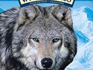 Blue Buffalo Wilderness Denali Dinner High Protein Grain Free, Natural Dry Dog Food with Wild Salmon, Venison & Halibut 22-lb
