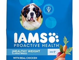 Iams Proactive Health Large Breed Adult Healthy Weight Dry Dog Food Chicken, 29.1 Lb. Bag