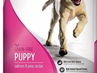 Nulo Puppy Food Grain Free Dry Food With Bc30 Probiotic And Dha (Salmon And Peas Recipe, 24Lb Bag)