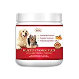 WetNozeHealth Vitamins for Dogs - Canine Multivitamin Supplement with Organic Turmeric and Probiotics for Large and Small Dogs, Chicken Flavor - 60 Soft Chews