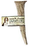 Gnawtlers - Premium Elk Antlers For Dogs, Naturally Shed Elk Antlers, USA Natural Elk Antler Chews, Specially Selected Elks Antlers From The Rocky Mountain & Heartland Regions - 4.5