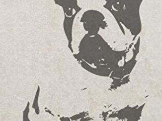 Daily Planner: 2019 – 2020 Planner | Black & White French Bulldog Dog Cover | January 19 – December 19 | Writing Notebook | Diary Journal | Calendar Schedule | Plan Days, Set Goals & Get Stuff Done