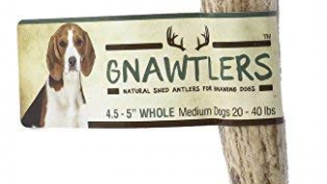 Gnawtlers – Premium Elk Antlers For Dogs, Naturally Shed Elk Antlers, USA Natural Elk Antler Chews, Specially Selected Elks Antlers From The Rocky Mountain & Heartland Regions – 4.5″- 5″ Elk Antler