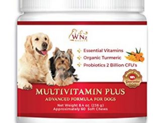 WetNozeHealth Vitamins for Dogs – Canine Multivitamin Supplement with Organic Turmeric and Probiotics for Large and Small Dogs, Chicken Flavor – 60 Soft Chews Reviews