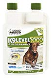 Liquid Health K9 Level 5000 Glucosamine Chondroitin Opti MSM 8 or 32 oz (32 ounces) [Package may vary]