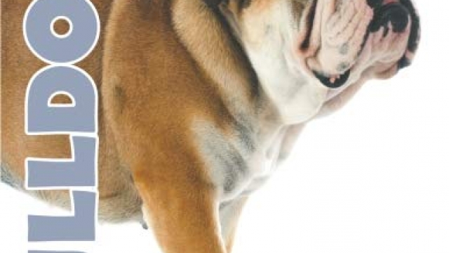 Bulldog 2019 Dog Calendar