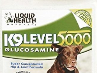 Liquid Health K9 Level 5000 Glucosamine Chondroitin Opti MSM 8 or 32 oz (32 ounces) [Package may vary]