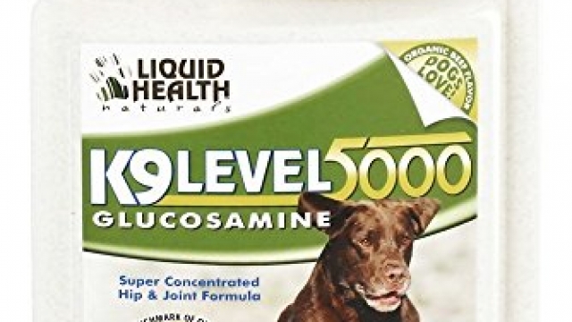 Liquid Health K9 Level 5000 Glucosamine Chondroitin Opti MSM 8 or 32 oz (32 ounces) [Package may vary]