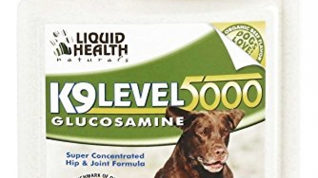 Liquid Health K9 Level 5000 Glucosamine Chondroitin Opti MSM 8 or 32 oz (32 ounces) [Package may vary]