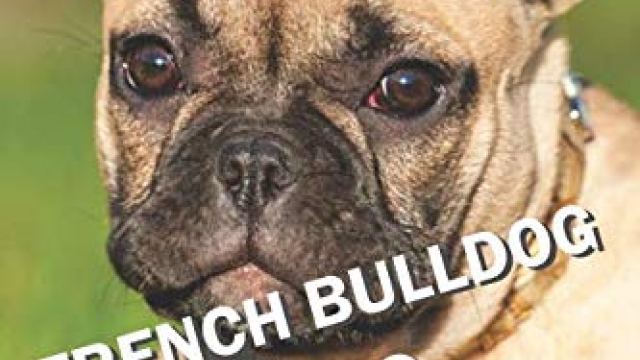 FRENCH BULLDOG TRAINING: All the tips you need for a well-trained French Bulldog Reviews
