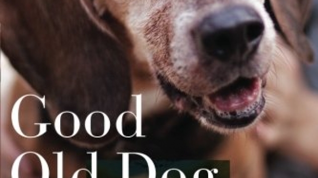 Good Old Dog: Expert Advice for Keeping Your Aging Dog Happy, Healthy, and Comfortable