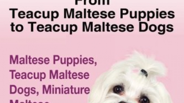 Teacup Maltese And Teacup Maltese Dogs: From Teacup Maltese Puppies to Teacup Maltese Dogs Includes: Maltese Puppies, Teacup Maltese Dogs, Miniature Maltese,  Temperament, Care, & More! Reviews