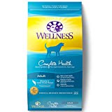 Wellness Complete Health Natural Dry Dog Food, Whitefish & Sweet Potato, 30-Pound Bag