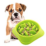 Slow Feeder Bowl, DotPet Fun Interactive Feeder Bloat Stop Dog Bowl Preventing Feeder Anti Gulping Drink Water Bowl Fan Shape Healthy Eating Diet For Puppy Dog Pet (Green)