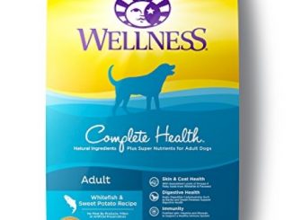 Wellness Complete Health Natural Dry Dog Food, Whitefish & Sweet Potato, 30-Pound Bag