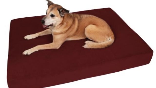 Big Barker 7″ Pillow Top Orthopedic Dog Bed – Large Size – 48 X 30 X 7 – Burgundy – for Large and Extra Large Breed Dogs (Sleek Edition)