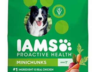 Iams Proactive Health Adult Minichunks Dry Dog Food Chicken, 40 Lb. Bag
