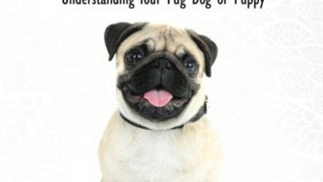 Pugs – The Owner’s Guide from Puppy to Old Age  Choosing, Caring for, Grooming, Health, Training and Understanding Your Pug Dog or Puppy
