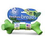 Pet Qwerks BarkBone Mint Flavor Dental Breath Stick Dog Chew Toy - Durable Dog Bones for Aggressive Chewers, Tough Power Chew Toys | Made in USA with FDA Compliant Nylon - for Small Dogs & Puppies