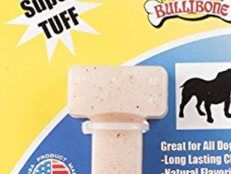 Bullibone Nylon Dog Chew Toy Spin-a-Bone- Bacon Flavor – Interactive Dog Toy, Triggers Natural Instincts, and Improves Oral Health