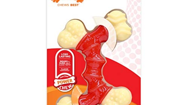 Nylabone Double Bone Power Chew Long-Lasting Dog Toy