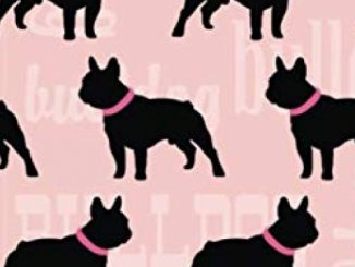 2020 – 2021 18 Month Daily Planner: Pretty Pink French Bulldog Cover | Daily Organizer Calendar Agenda | 6×9 | Work, Travel, School Home | Monthly … (Dog Lover Lifestyle Organizer Series)