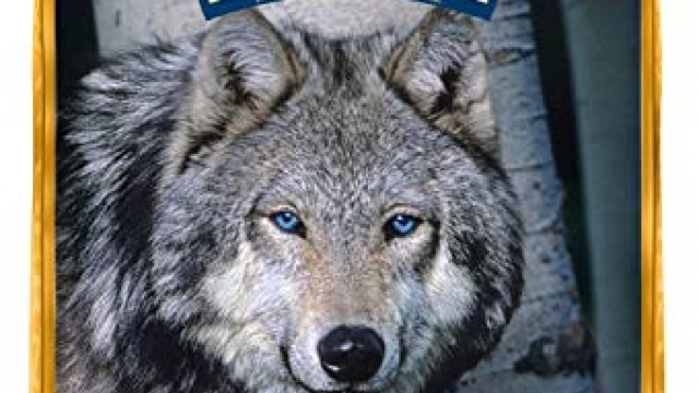 Blue Buffalo Wilderness High Protein Grain Free, Natural Adult Healthy Weight Dry Dog Food, Chicken 24-lb Blue Buffalo Wilderness High Protein Grain Free, Natural Adult Healthy Weight Dry Dog Food, Chicken 24-lb