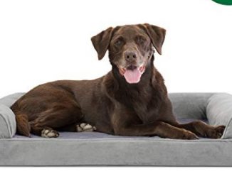 Furhaven Pet Dog Bed | Orthopedic Faux Fur & Velvet Traditional Sofa-Style Living Room Couch Pet Bed w/ Removable Cover for Dogs & Cats, Smoke Gray, Large