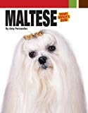Maltese (Smart Owner's Guide)