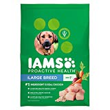 Iams Proactive Health Adult Large Breed Dry Dog Food Chicken, 40 Lb. Bag