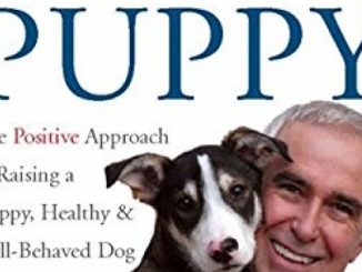 Before and After Getting Your Puppy: The Positive Approach to Raising a Happy, Healthy, and Well-Behaved Dog