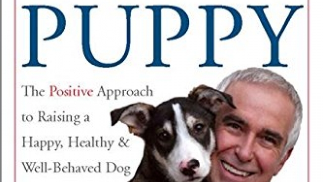 Before and After Getting Your Puppy: The Positive Approach to Raising a Happy, Healthy, and Well-Behaved Dog