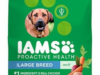 Iams Proactive Health Adult Large Breed Dry Dog Food Chicken, 40 Lb. Bag