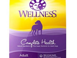 Wellness Complete Health Natural Dry Dog Food with Grain, Chicken & Oatmeal, 30-Pound Bag Reviews