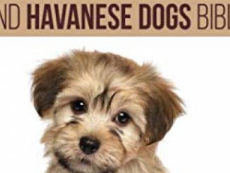 Havanese And Havanese Dogs Bible: Includes Havanese Puppies, Havanese Dogs, Havanese Breed, Havanese Rescue, Finding Breeders, Havanese Care, Mixes, Bichon Havanese, Havapoo and More!