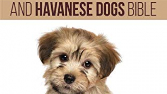 Havanese And Havanese Dogs Bible: Includes Havanese Puppies, Havanese Dogs, Havanese Breed, Havanese Rescue, Finding Breeders, Havanese Care, Mixes, Bichon Havanese, Havapoo and More!